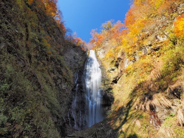 鰺ヶ沢町 くろくまの滝