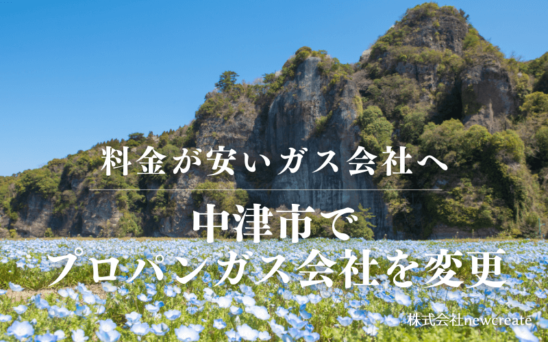 中津市でプロパンガス会社を変更する