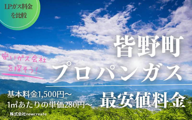 皆野町のプロパンガス料金