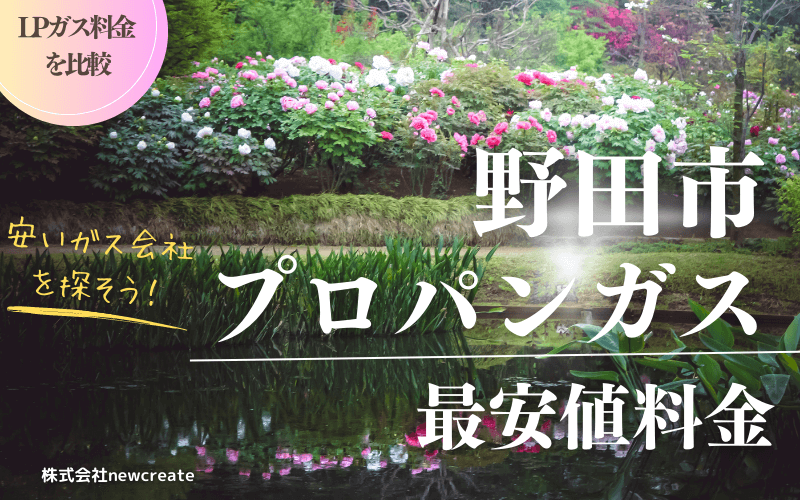 野田市のプロパンガス料金