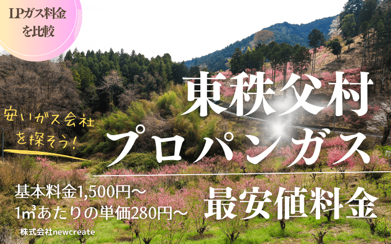 東秩父村のプロパンガス料金