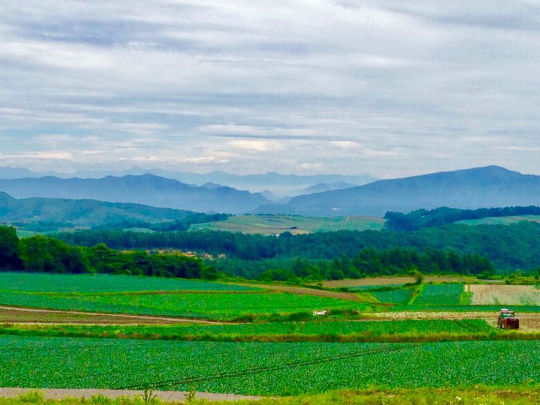 嬬恋村の風景